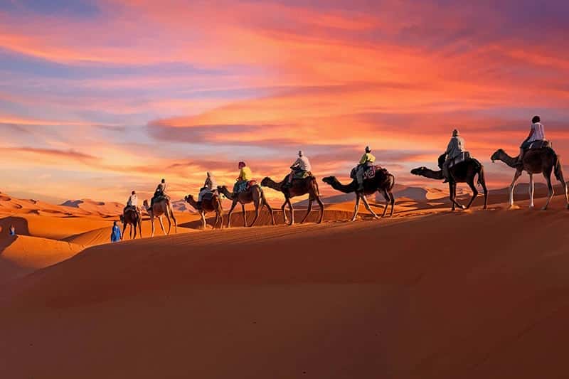 Deserto do Saara  Deserto do Saara